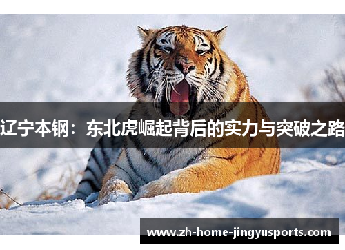 辽宁本钢：东北虎崛起背后的实力与突破之路